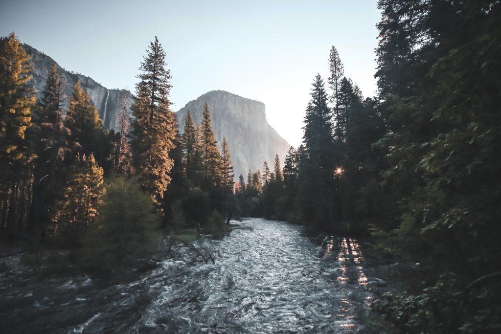 Image by rawpixel.com